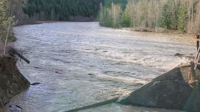 Wednesday, December 1, 2021. Tulameen River High And Trestle/trail Damage!