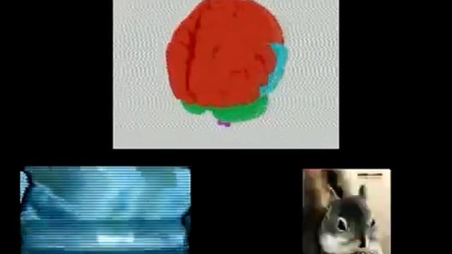 ШУМ (NOISE) - Видеоинсталляция смотреть онлайн