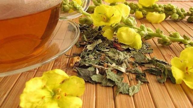 Выводим МОКРОТУ и СЛИЗЬ из ЛЁГКИХ природными средствами: отвар коровяка с мёдом! смотреть онлайн