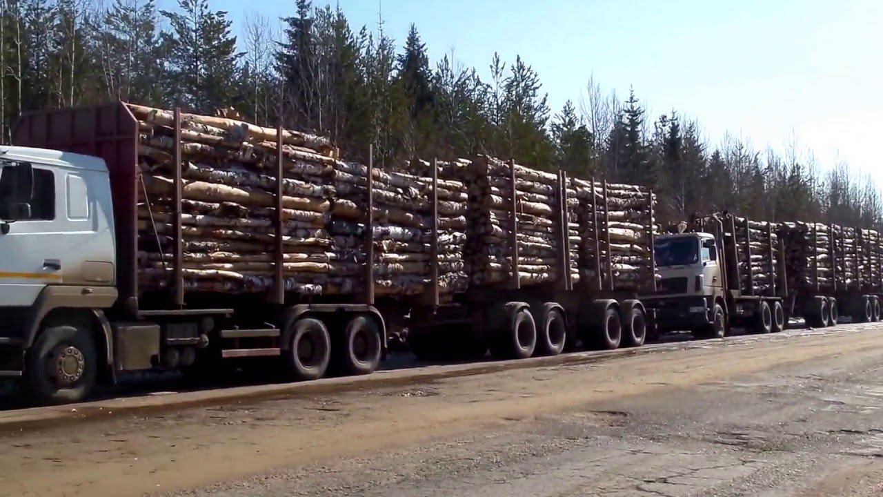 Владельцы большегрузов устроили на дорогах региона настоящую вакханалию смотреть онлайн