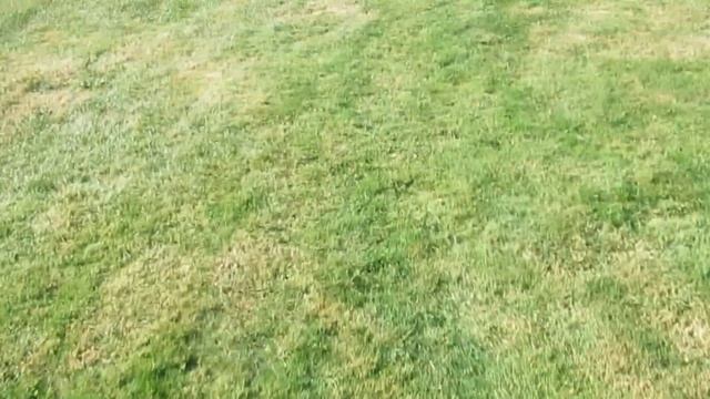 Первый опыт стрельбы из лука. Впечатления от чайника (1 часть). 19.08.2022. Лук JunXing F179. смотреть онлайн