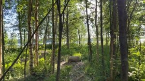 База отдыха Shanti Home Озеро // Обзор домика // Наши выходные в Шанти Хоум // Ленобласть