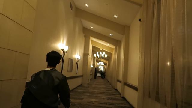 ALA 2016/SPIDER DANCE смотреть онлайн