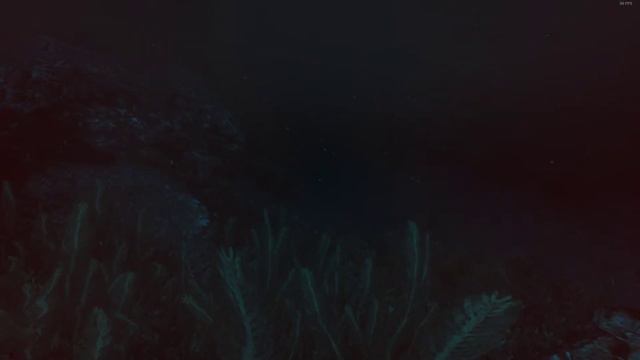 SOMA | Прогулка по дну моря смотреть онлайн