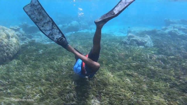 Laamu Atoll Maldives смотреть онлайн