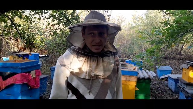 готовим пчел к зимовке. смотреть онлайн