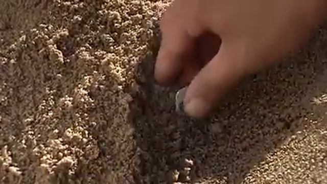 ЗНАХАРЬ Ч. 7 (2008)