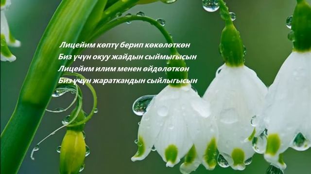 Себат бүтүрүүчүлөрү коомдук бирикмеси.Трио Мээрим Анжелика жана Жылдыз -"Лицейим" смотреть онлайн