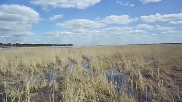 на озеро смотреть онлайн