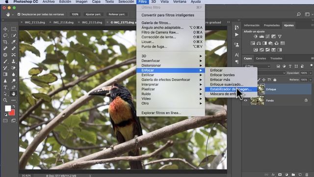 Tutorial Enfocar Photoshop y Lightroom # 48. ¿Cómo fijar con reducción de vibración?. liclonny смотреть онлайн
