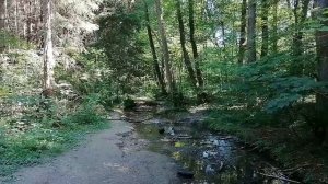 Повесть Виталия Полозова "На заимке" продолжение, часть 3, читает автор.