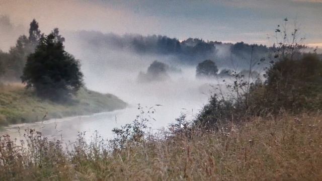Экологическая сказка "Ручеек и зайчик" смотреть онлайн