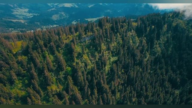 Моя подруга из многодетной семьи, которой уже 35, своих детей не заводит и вот почему... смотреть онлайн