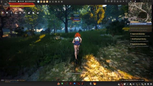 Black Desert - BDO - Collecting some Honey смотреть онлайн
