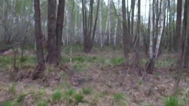 Follow Me. Бег на ориентацию в Коростышеве. смотреть онлайн