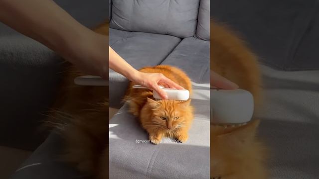 Паровая щетка для кошек Артикул WB 209809130 #пароваящеткадлякошек #животные #кот #котики #кошка смотреть онлайн