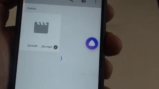 Telegram & RealVisor App