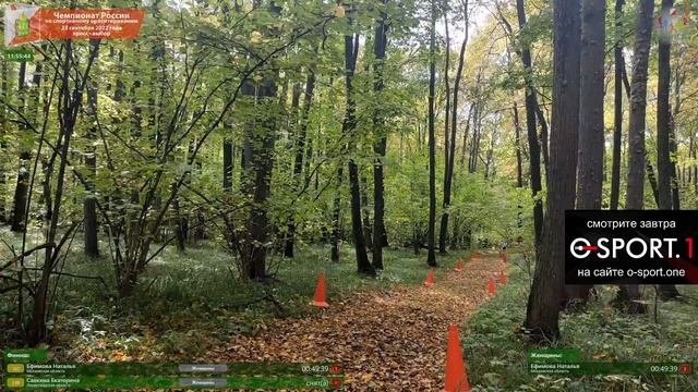 Чемпионат России по спортивному ориентированию. Кросс - выбор смотреть онлайн
