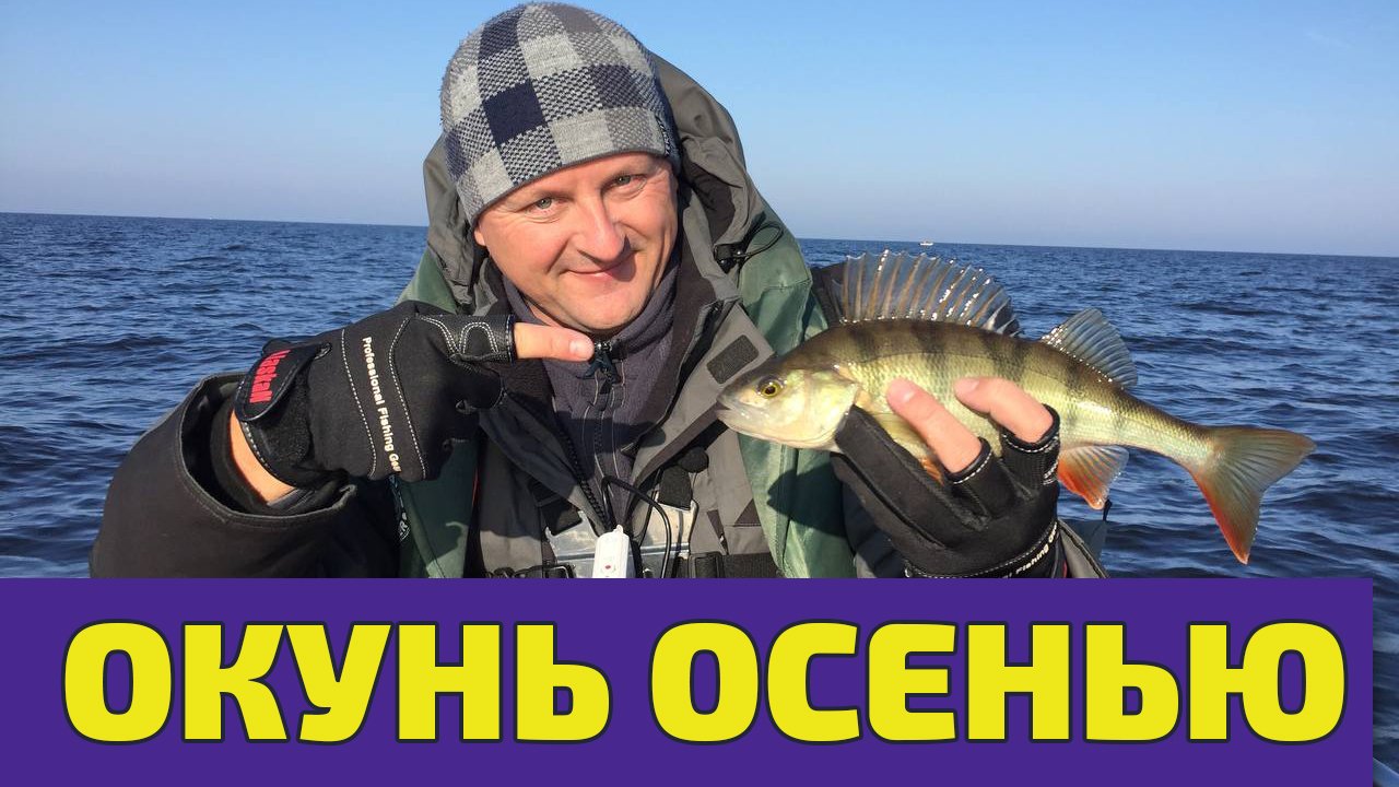 Ловим окуня на силиконовые приманки. Рыбалка с друзьями - подписчиками смотреть онлайн