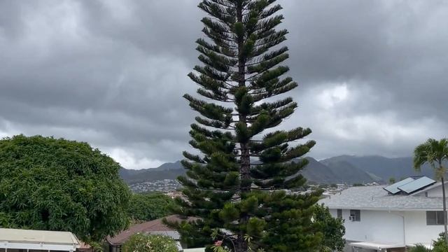 Едем на Гавайи! Гонолулу и вулканы : Diamond Head смотреть онлайн