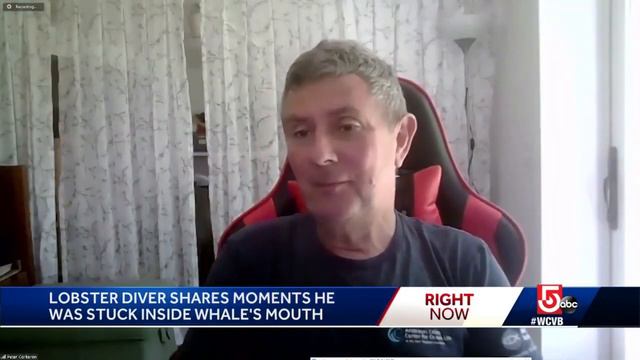 Cape Cod lobster diver describes being swallowed by humpback whale смотреть онлайн