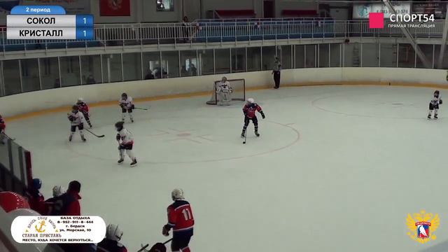Первенство СФО по хоккею (до 11 лет). 3 этап. «СОКОЛ» (Красноярск) – «КРИСТАЛЛ» (Бердск) смотреть онлайн