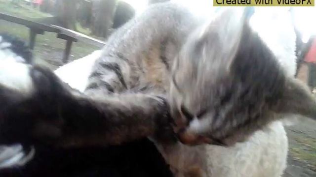 Клип под песню "Плохо танцевать" смотреть онлайн