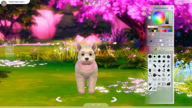 The Sims 4 - Детальный обзор Cas | Редактор создания питомца! смотреть онлайн