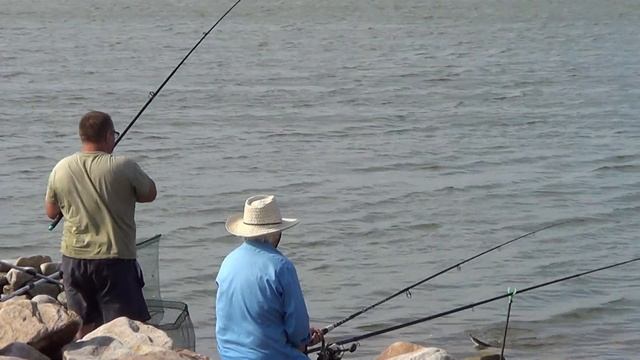 Ейск - промысел пеленгаса в начале августа 2021. Как ловится пеленгас. смотреть онлайн