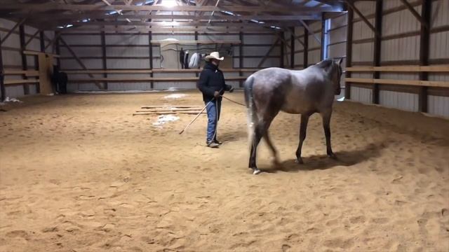 How to Fix a Rearing Horse смотреть онлайн