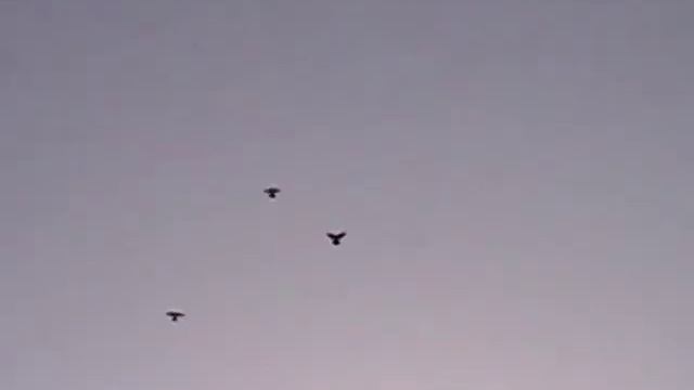 Ветер северо восточный смотреть онлайн