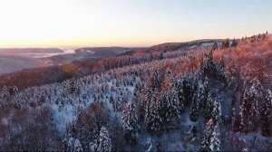 10 часов Природы Земли. Сделано с дрона!