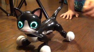 У нас появился интерактивный робот кошка Zoomer Kitty