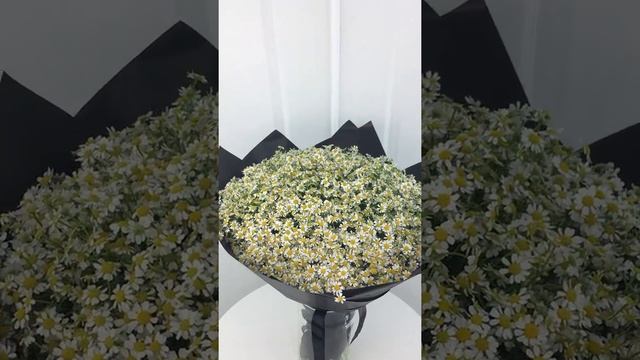 Ромашка полевая 51шт смотреть онлайн