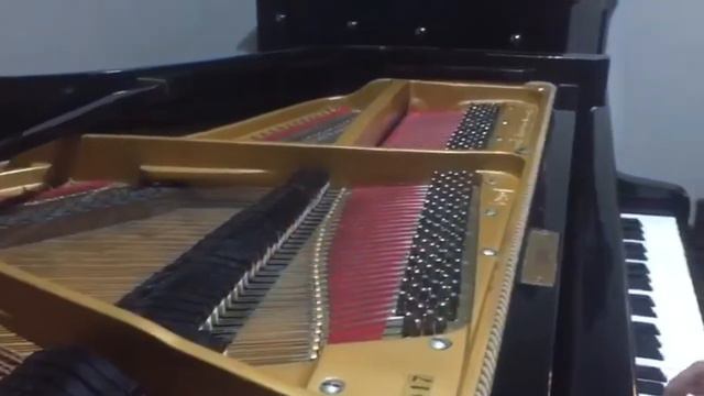 LA VIE EN ROSE - Édith Piaf (Interpretación Mario Fernando Piano) смотреть онлайн