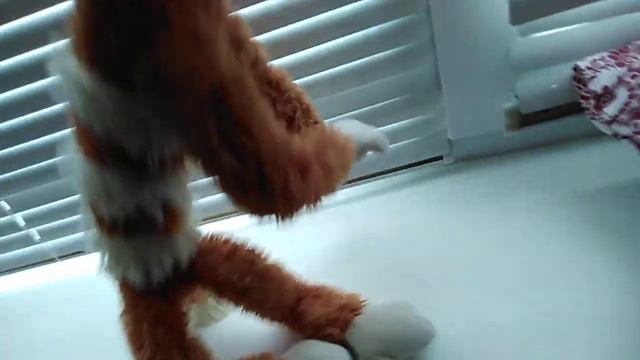 Кот бекон и его приключения 3 смотреть онлайн