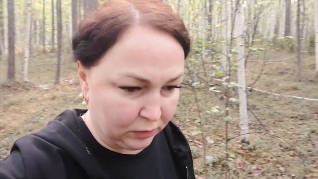 ОХОТА НА МЕДВЕДЯ С ЛАЙКАМИ| Лицензия на добычу оправдана| смотреть онлайн