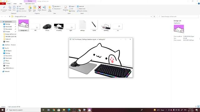 HOW TO MAKE A BONGO CAT CAM смотреть онлайн