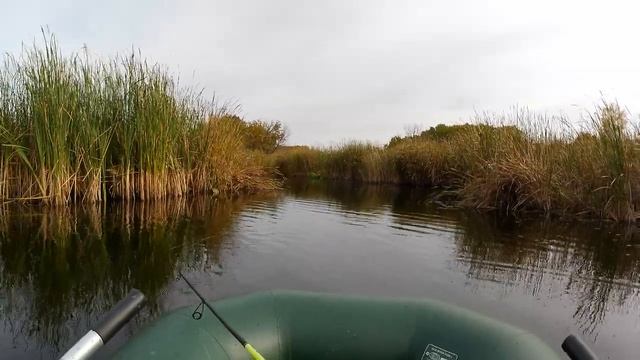 #рыбалкаосеньюнащукунаволге.mp4