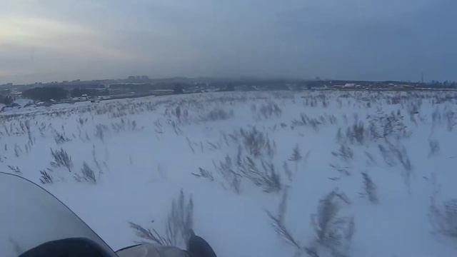 Arctic Cat смотреть онлайн