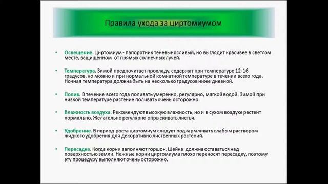 циртомиум смотреть онлайн