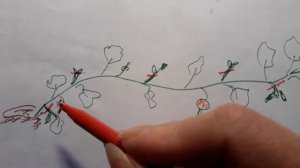 Выращивание тыквы на Урале.Пора сеять семена на рассаду!