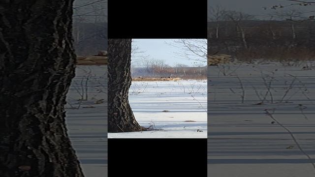 VID_20230211_130704.mp4 смотреть онлайн