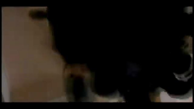 Breaking Benjamin смотреть онлайн