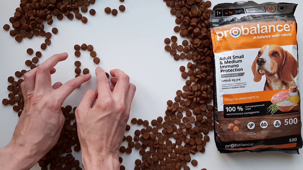 Корм Probalance Immuno Adult Small&Medium смотреть онлайн