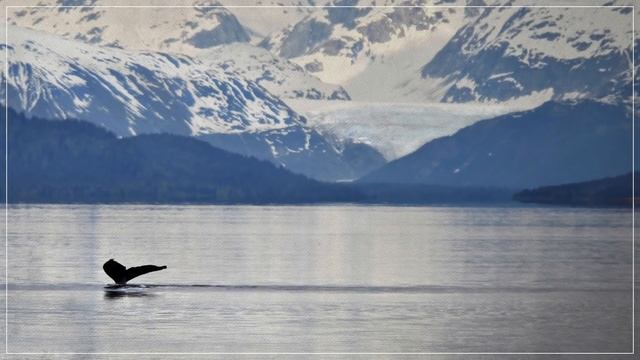 Почему мегалодон (несомненно!) вымер... [PBS Eons] смотреть онлайн