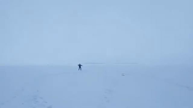 Запуск Engine F2D Combat Fora 2,5 2021 #fora #F2D