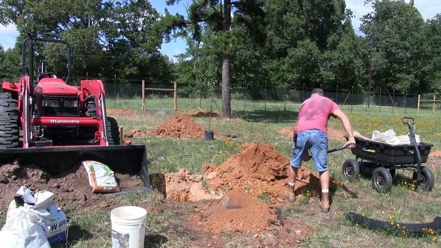 Fruit Tree Planting The Ellen White Method