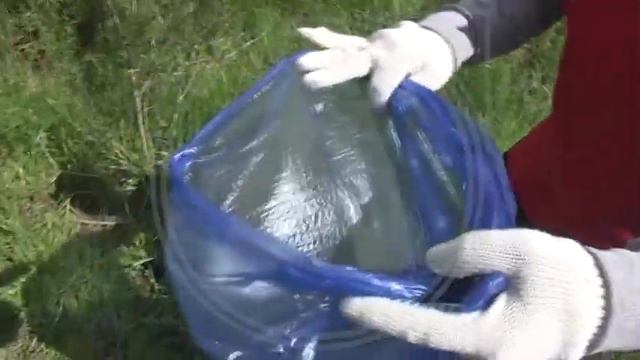 Волонтеры и педагоги Асенкритовского сельского округа провели уборку берега реки Аят смотреть онлайн