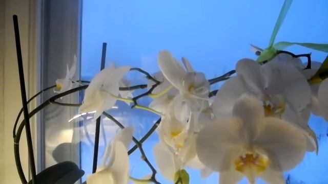 Всё о высоком смотреть онлайн